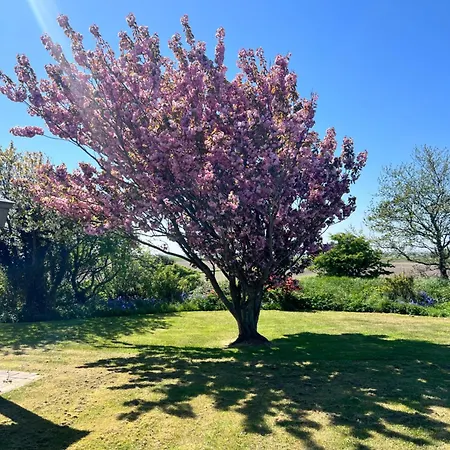 Bed & Breakfast 't Olde Land