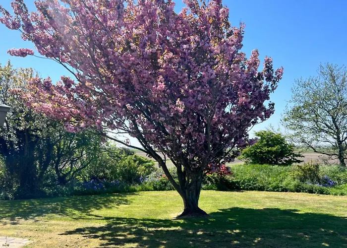 Bed & Breakfast 't Olde Land